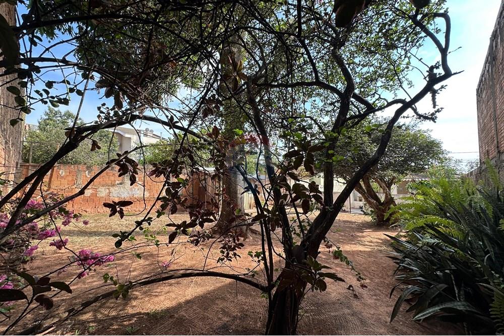 Casa - Venda - Lins , São Paulo - WhatsApp Image 2025-10-06 at 17.22.19 (1).jpeg - 631011016-84