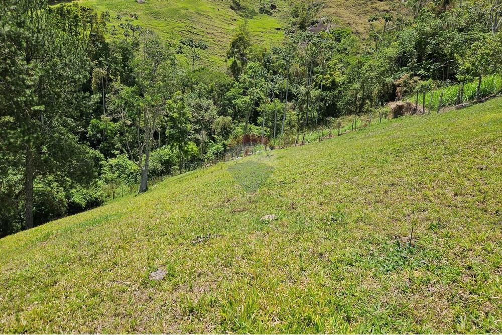 Terreno - Venda - Nova Friburgo , Rio de Janeiro - 20251111_104108.jpg - 630551024-83