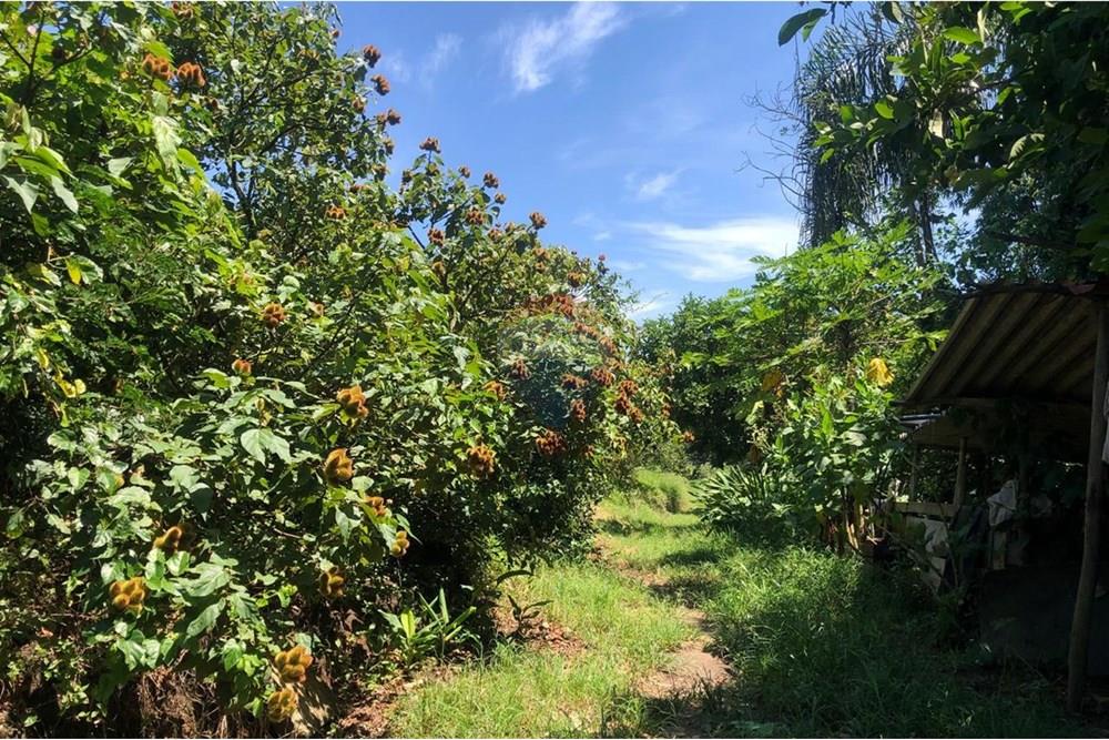 Chácara / Sítio / Fazenda - Venda - Santa Isabel , São Paulo - WhatsApp Image 2025-02-20 at 14.04.34 (7).jpeg - 631491020-25