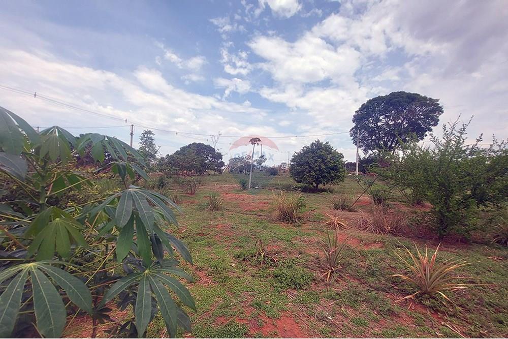 Chácara / Sítio / Fazenda - Venda - Taciba , São Paulo - Chacara Taciba (15).jpg - 630861066-19