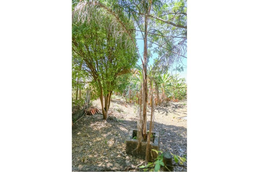 Terreno - Venda - Sorocaba , São Paulo - IMG_4849.jpg - 630601207-23