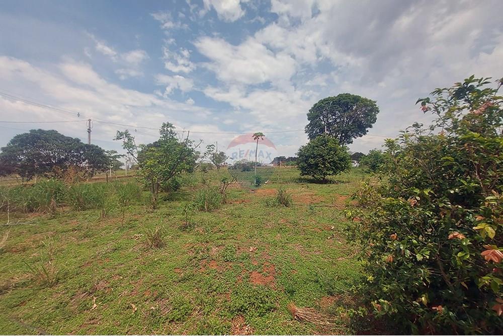 Chácara / Sítio / Fazenda - Venda - Taciba , São Paulo - Chacara Taciba (14).jpg - 630861066-19