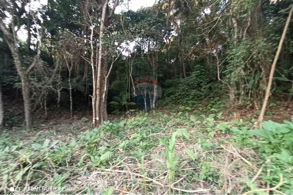 Terreno - Venda - Mairiporã , São Paulo - WhatsApp Image 2025-07-14 at 23.09.36 (1).jpeg - 631361025-36