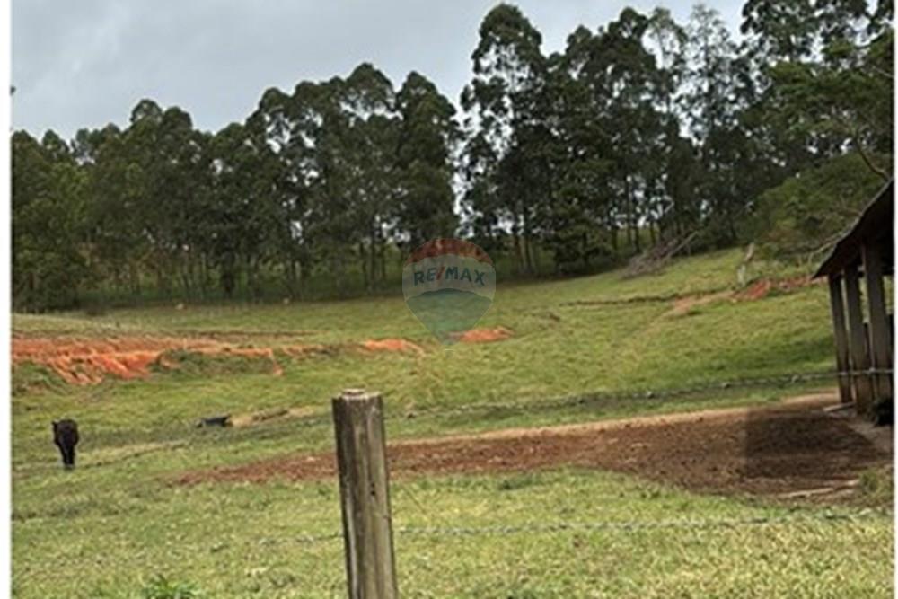 Chácara / Sítio / Fazenda - Venda - Guaratinguetá , São Paulo - IMG_0262.JPG - 630961014-63