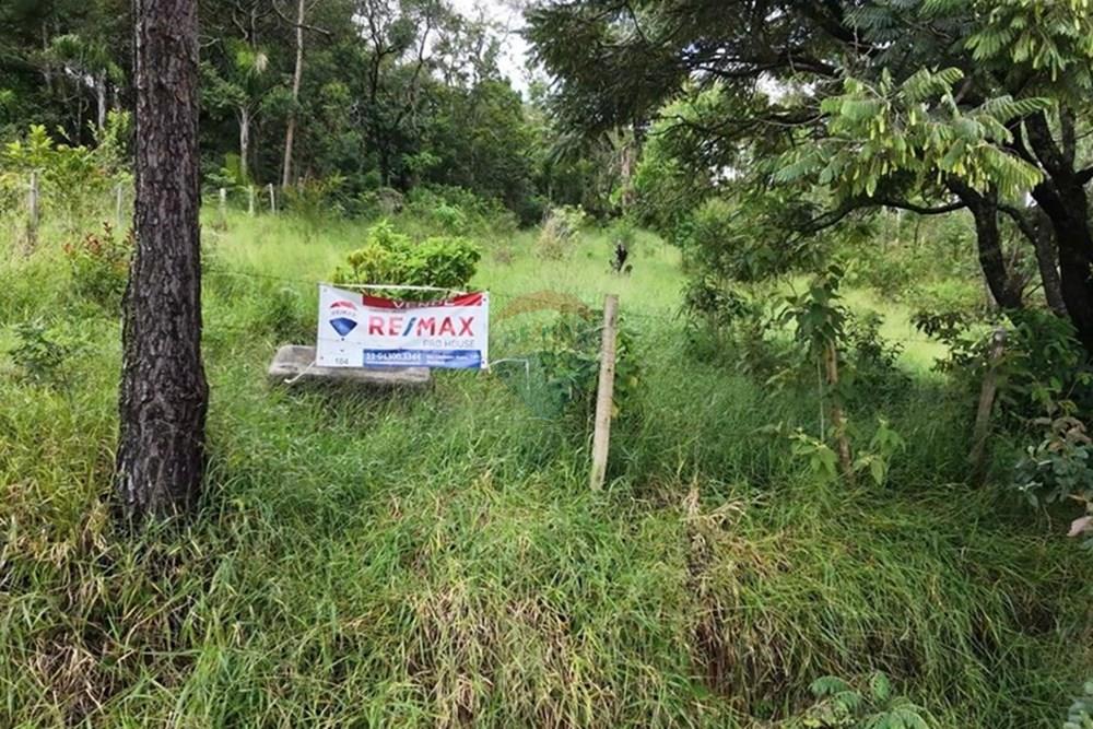 Terreno - Venda - Mairiporã , São Paulo - WhatsApp Image 2026-02-11 at 21.44.05.jpeg - 631361059-4