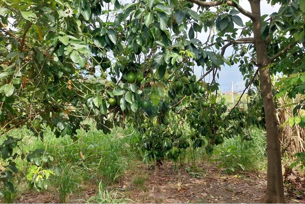 Chácara / Sítio / Fazenda - Venda - Salto de Pirapora , São Paulo - WhatsApp Image 2025-04-02 at 15.12.14 (4).jpeg - 631181023-63