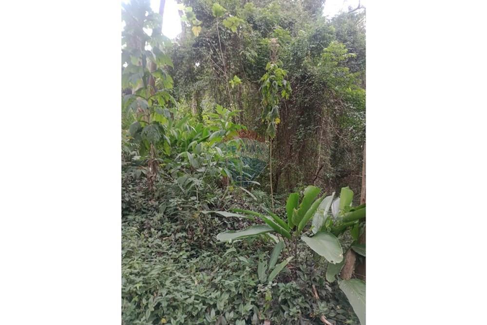 Terreno - Venda - São Roque , São Paulo - WhatsApp Image 2025-09-19 at 12.32.19 (2).jpeg - 631601014-45