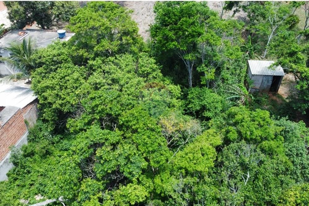 Terreno - Venda - Armação dos Búzios , Rio de Janeiro - 2431a79a-d3dd-4919-8e38-644becbd9a2e.JPG - 630391105-27