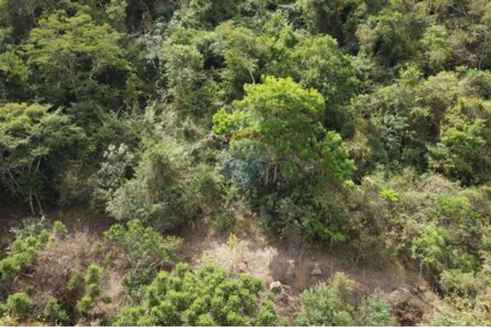 Terreno - Venda - Paraíba do Sul , Rio de Janeiro - 18.jpg - 631611011-3