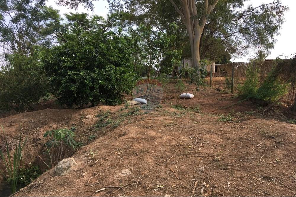 Terreno - Venda - Cafelândia , São Paulo - WhatsApp Image 2025-07-07 at 12.47.31 (1).jpeg - 631011016-72