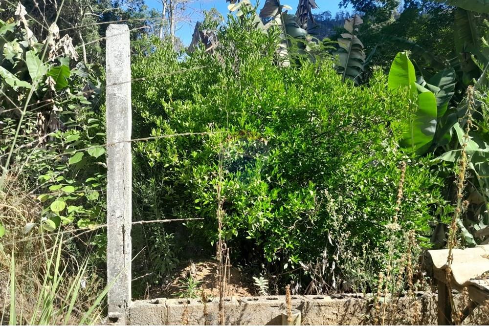 Chácara / Sítio / Fazenda - Venda - Bom Jardim , Rio de Janeiro - WhatsApp Image 2025-12-01 at 10.15.04 (2).jpeg - 630171007-64