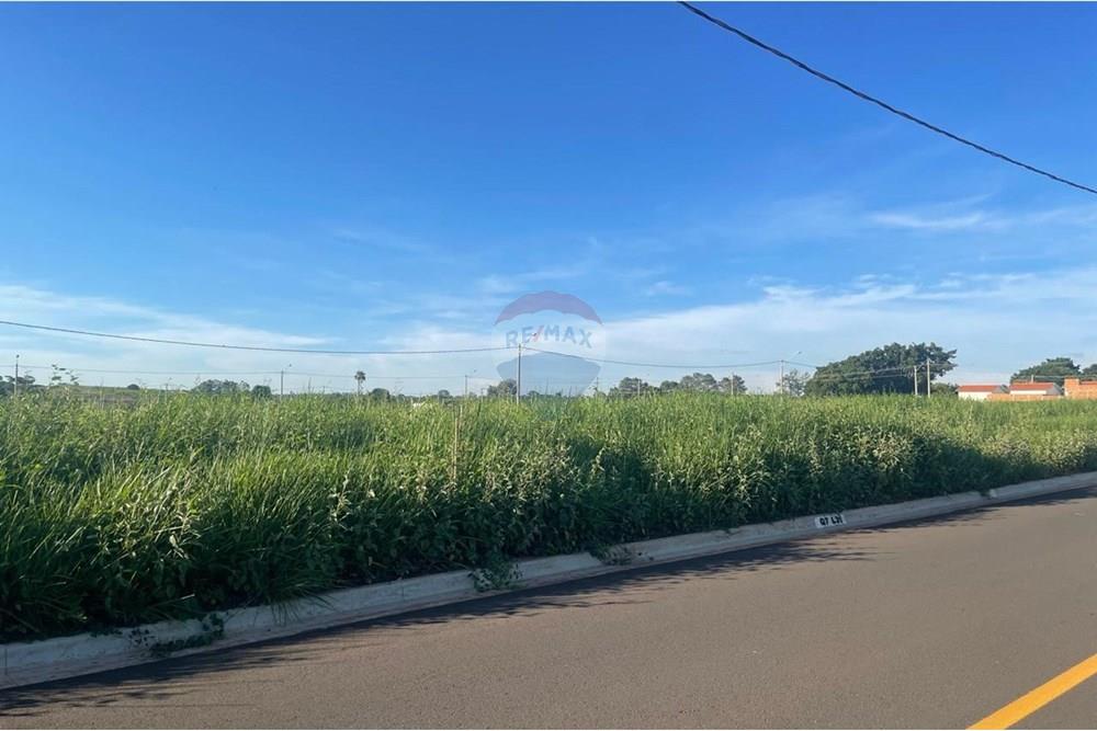 Terreno - Venda - Bady Bassitt , São Paulo - WhatsApp Image 2025-01-14 at 17.41.24 (2).jpeg - 631481002-90