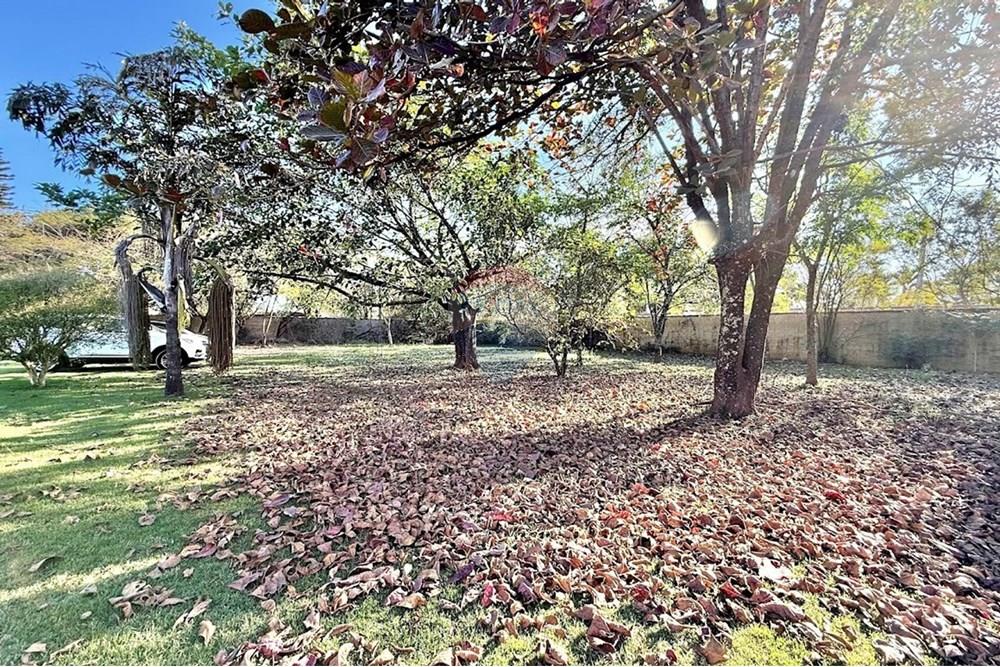 Chácara / Sítio / Fazenda - Alugar - Araçoiaba da Serra , São Paulo - IMG_0208.jpg - 630601093-148