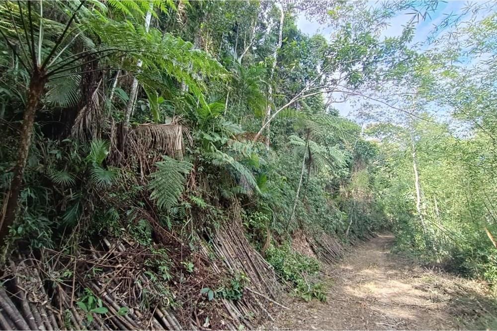 Terreno - Venda - Teresópolis , Rio de Janeiro - 15.jpeg - 630191109-22