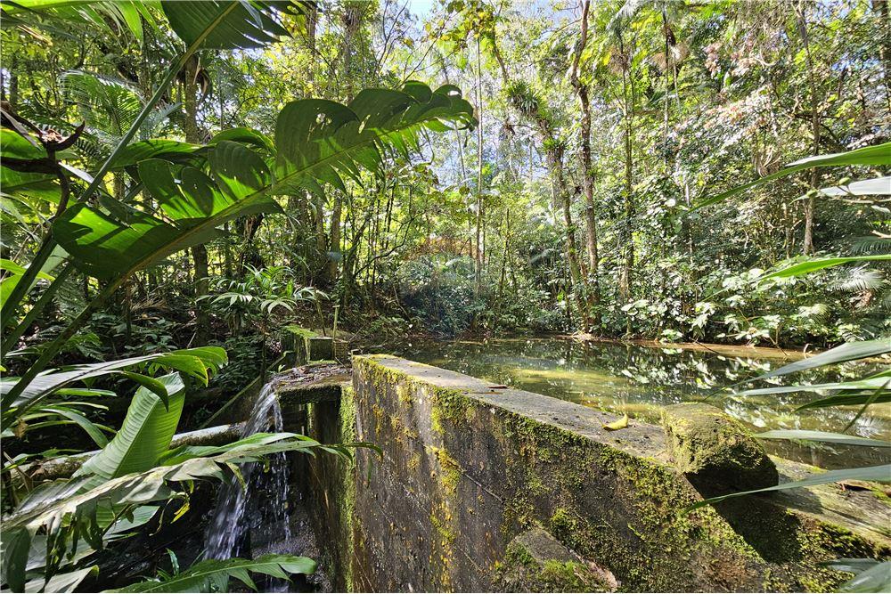 Residential - फार्म - Nova Friburgo , रिओ डे जैनेरो - BR - 84 - 630551016-150