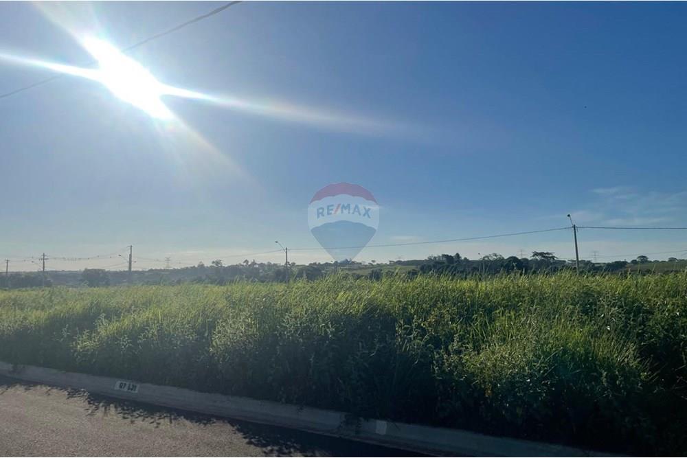 Terreno - Venda - Bady Bassitt , São Paulo - WhatsApp Image 2025-01-14 at 17.41.23.jpeg - 631481002-90