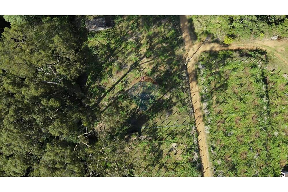 Chácara / Sítio / Fazenda - Venda - Petrópolis , Rio de Janeiro - c16.jpg - 630131071-36