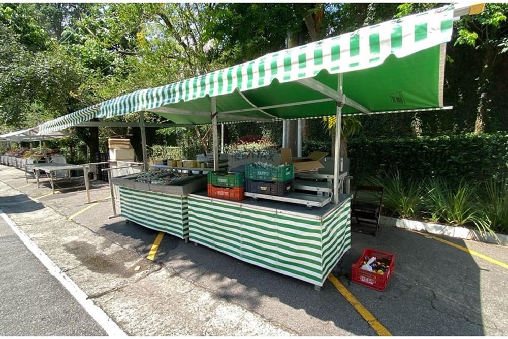 Apartamento - Alugar - São Paulo , São Paulo - WhatsApp Image 2025-10-13 at 15.06.05.jpeg - 630821095-4