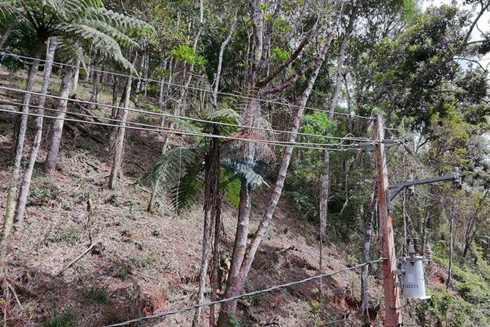 Terreno - Venda - Teresópolis , Rio de Janeiro - DJI_20251223092007_0242_D.JPG - 630191109-14