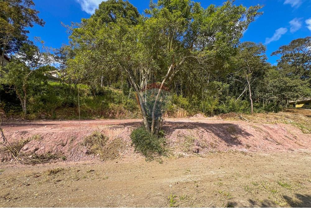 Terreno - Venda - Suzano , São Paulo - 5.jpg - 631371018-45