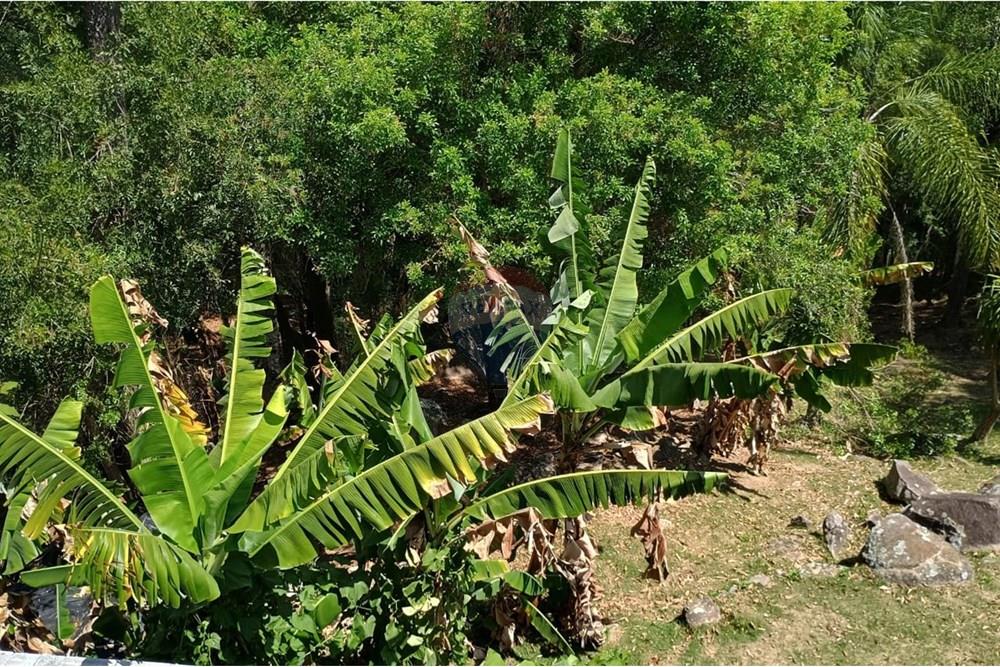 Chácara / Sítio / Fazenda - Venda - Ibiúna , São Paulo - WhatsApp Image 2025-10-26 at 08.04.34 (2).jpeg - 631331032-6
