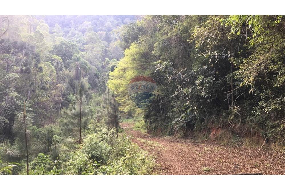 Chácara / Sítio / Fazenda - Venda - Barra do Chapéu , São Paulo - WhatsApp Image 2025-04-11 at 15.16.23 (1).jpeg - 630241005-68