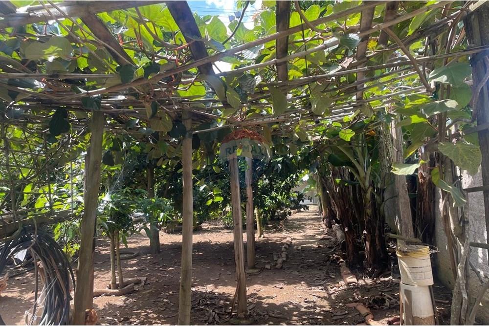 Chácara à venda com 3 quartos, 200m² - Foto 44