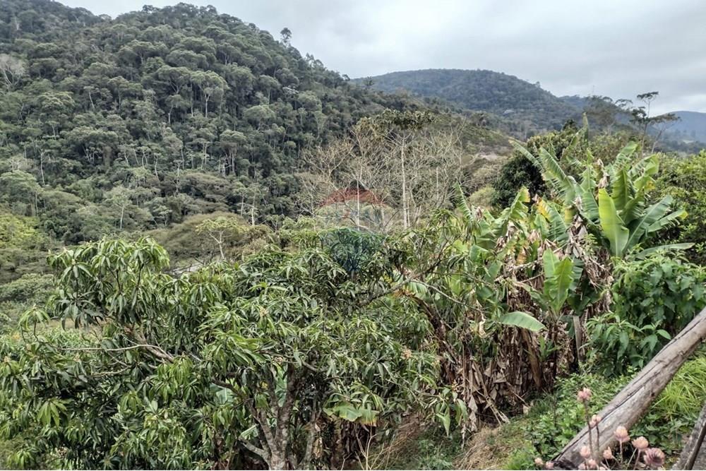 Casa de Campo - Venda - Teresópolis , Rio de Janeiro - BANANEIRAS.jpg - 630191049-10