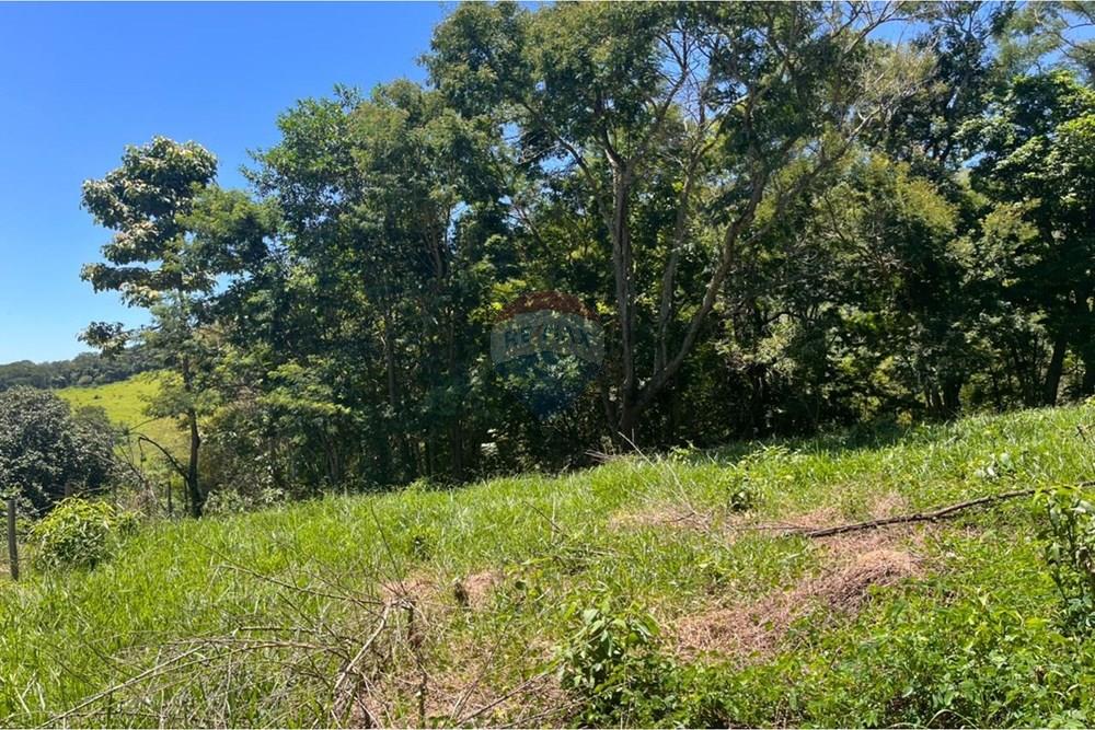 Terreno - Venda - Mogi das Cruzes , São Paulo - WhatsApp Image 2026-02-24 at 13.21.50.jpeg - 631251058-2