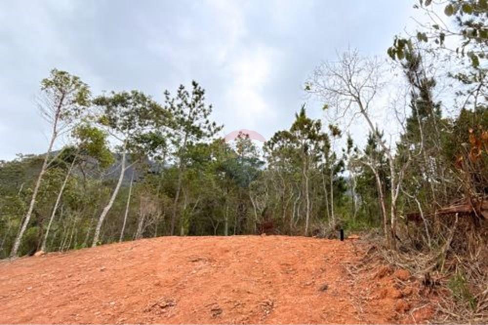 Terreno - Venda - Petrópolis , Rio de Janeiro - 11.jpg - 631611002-13