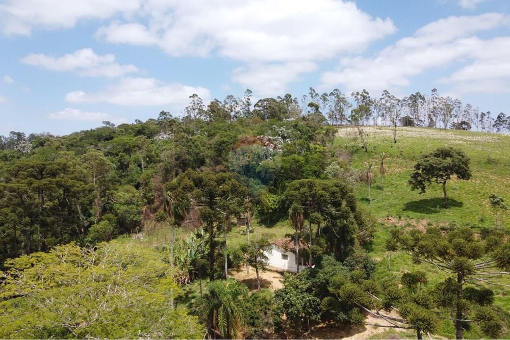 Terreno - Venda - Mairinque , São Paulo - 8007fa96-8d05-4045-8c78-157436ba9e17.jpeg - 631601004-144