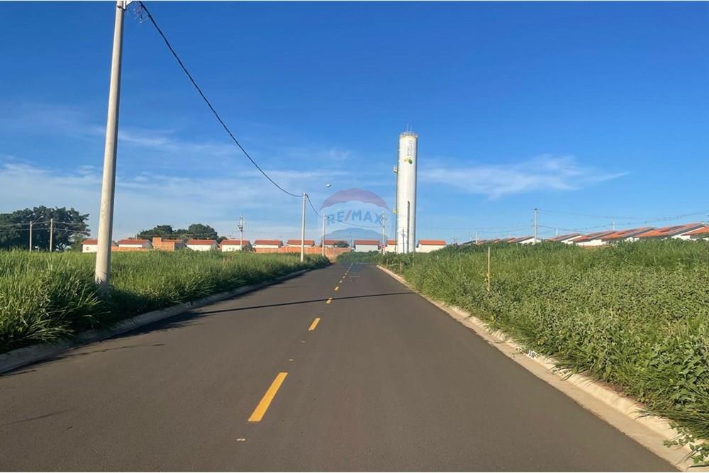 Terreno - Venda - Bady Bassitt , São Paulo - WhatsApp Image 2025-01-14 at 17.41.24 (7).jpeg - 631481002-90