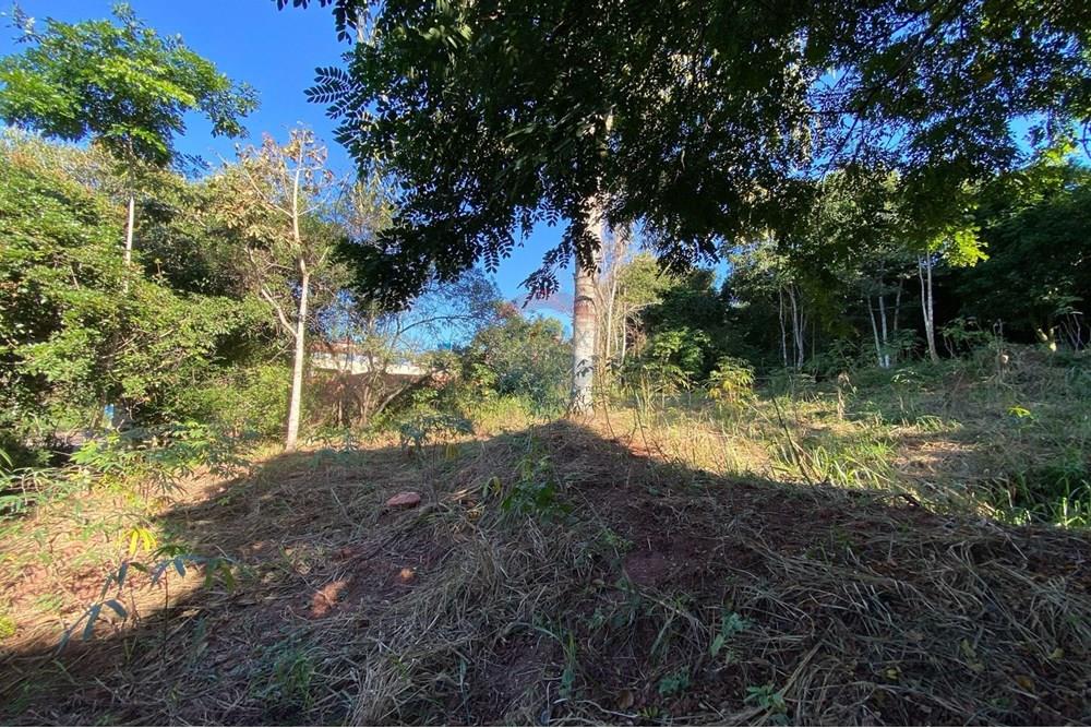 Terreno - Venda - Armação dos Búzios , Rio de Janeiro - WhatsApp Image 2025-07-08 at 11.28.27 (1).jpeg - 630391072-18