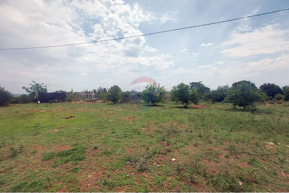 Chácara / Sítio / Fazenda - Venda - Taciba , São Paulo - Chacara Taciba (29).jpg - 630861066-19