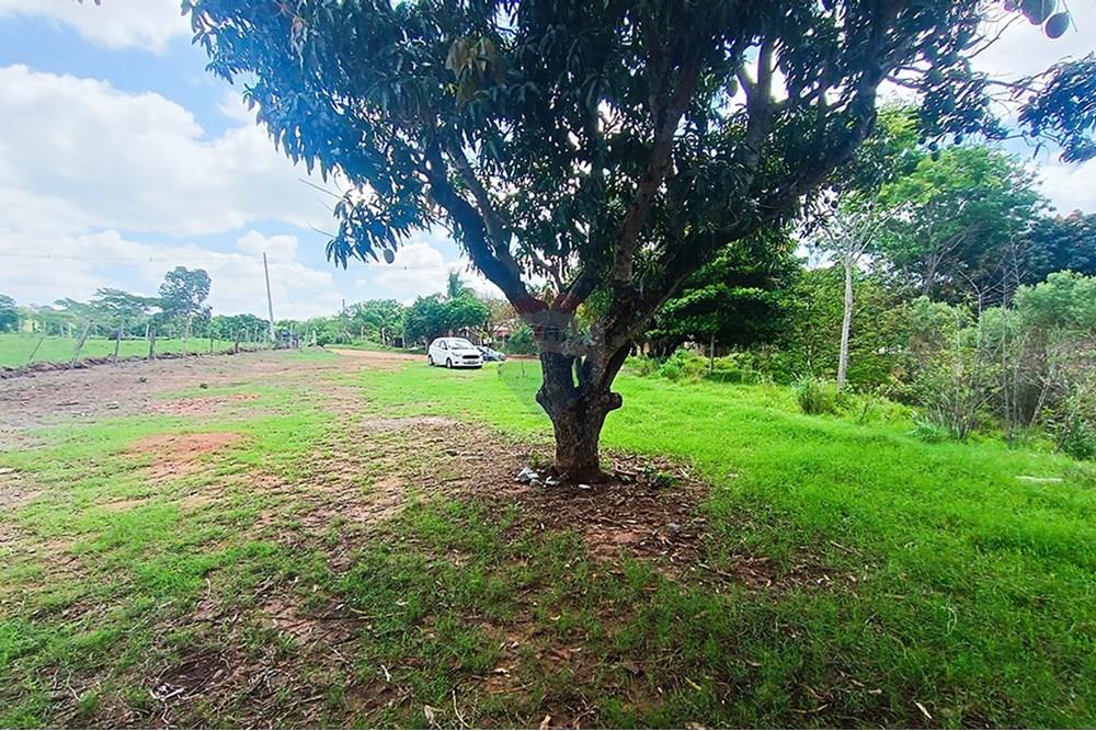 Chácara / Sítio / Fazenda - Venda - Álvares Machado , São Paulo - VALMOR  (3).jpg - 630861066-22