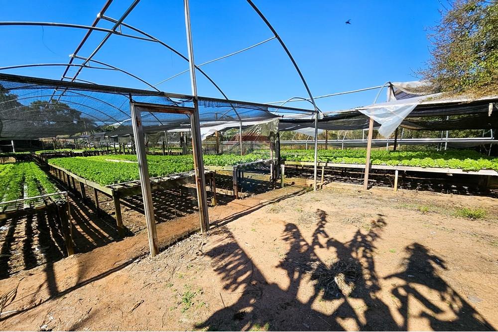 Fazenda - Venda - Botucatu , São Paulo - IMG-20250717-WA0036.jpg - 630111096-7