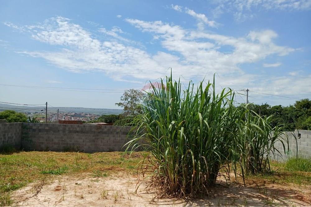 Terreno - Venda - Salto de Pirapora , São Paulo - WhatsApp Image 2026-02-20 at 11.15.46.jpeg - 631181028-101