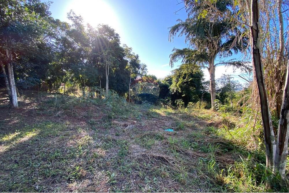 Terreno - Venda - Armação dos Búzios , Rio de Janeiro - WhatsApp Image 2025-07-08 at 11.28.41.jpeg - 630391072-18