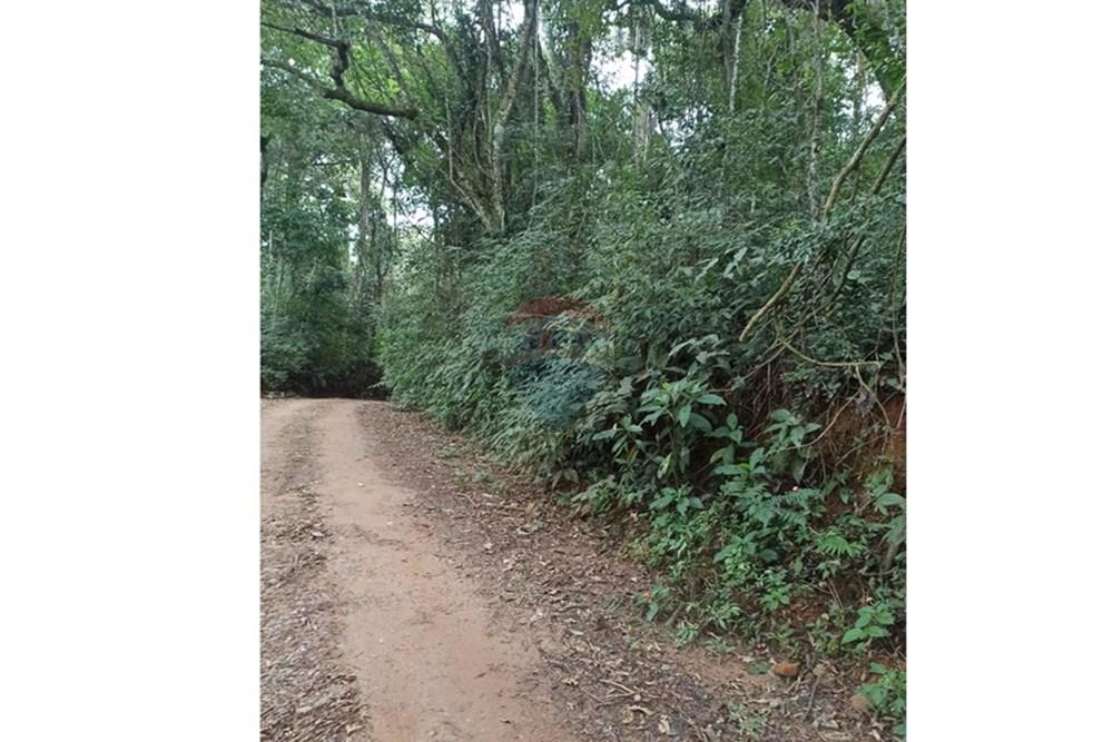 Terreno - Venda - Mairiporã , São Paulo - WhatsApp Image 2025-07-28 at 23.50.06.jpeg - 631361025-37