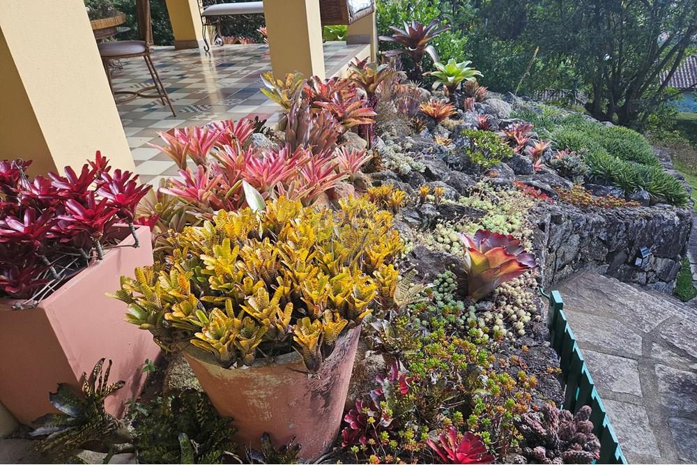 Casa - Venda - Nova Friburgo , Rio de Janeiro - 20250731_140317.jpg - 630551016-159