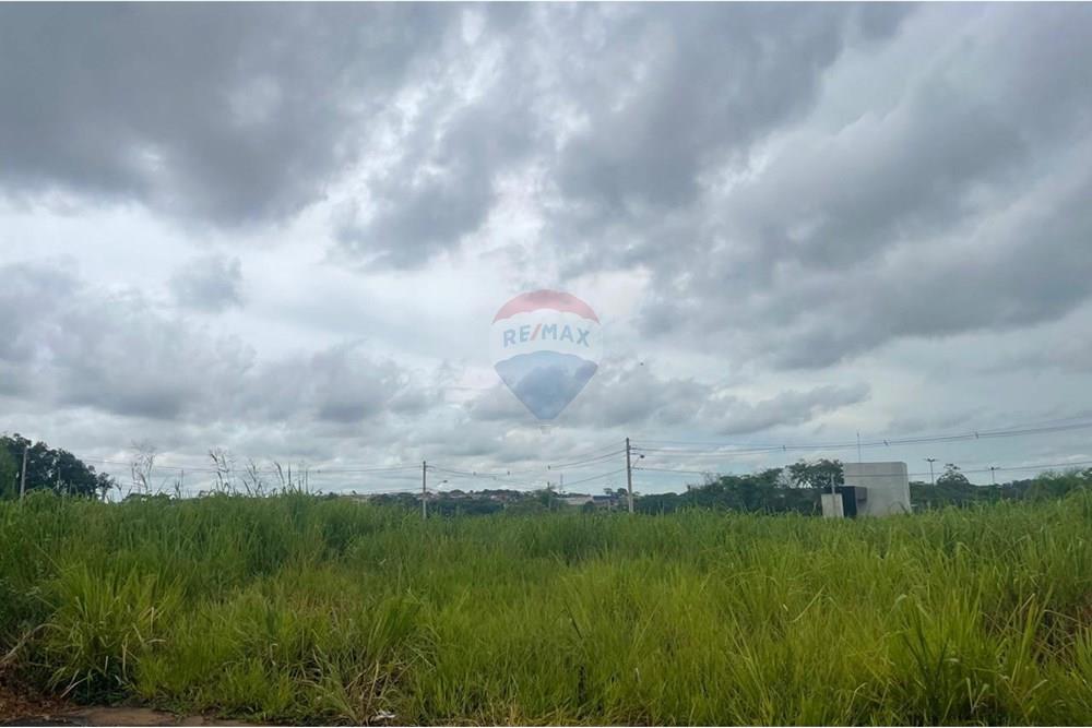 Terreno - Venda - Bady Bassitt , São Paulo - WhatsApp Image 2025-01-27 at 12.48.53 (1).jpeg - 631481002-88