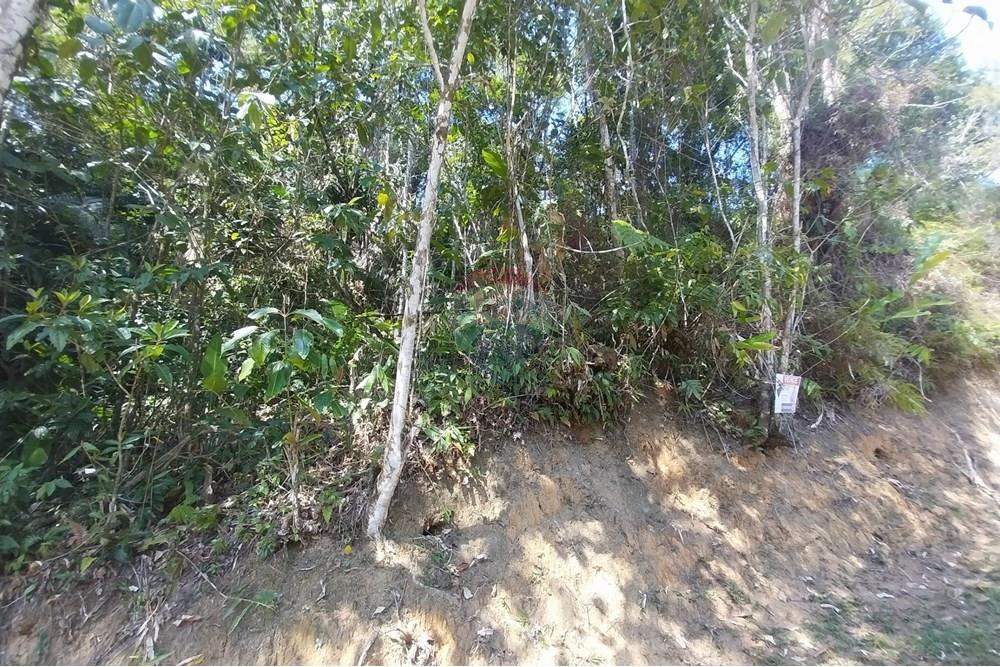 Terreno - Venda - Ubatuba , São Paulo - 20251001_094532.jpg - 631571010-2