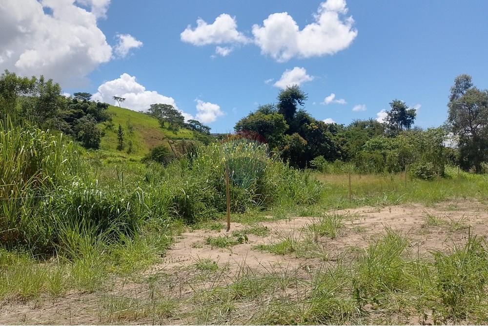 Terreno - Venda - Paraíba do Sul , Rio de Janeiro - IMG_20250225_111417_HDR.jpg - 631411001-104