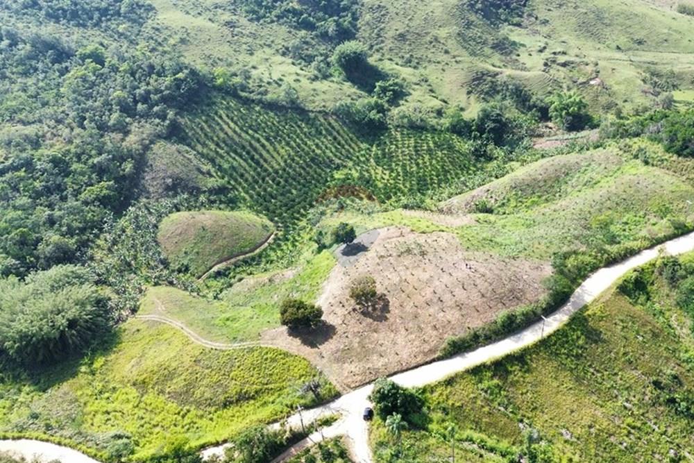 Terreno - Venda - Rio Bonito , Rio de Janeiro - WhatsApp Image 2026-03-13 at 11.17.14.jpeg - 631351028-14