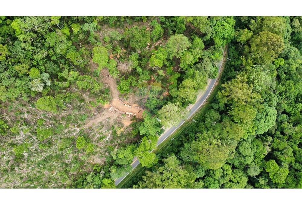 Terreno - Venda - Mairiporã , São Paulo - dji_fly_20251114_111708_831_1763129905389_photo_optimized.jpg - 631361005-166