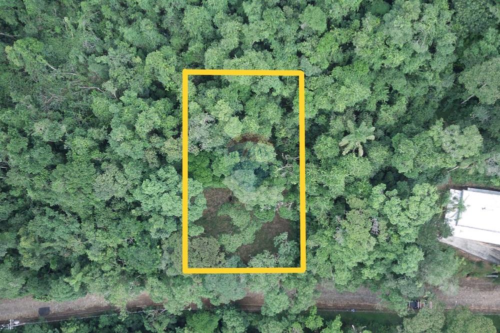 Terreno - Venda - Mairiporã , São Paulo - demarcado (Custom).JPG - 631361041-55