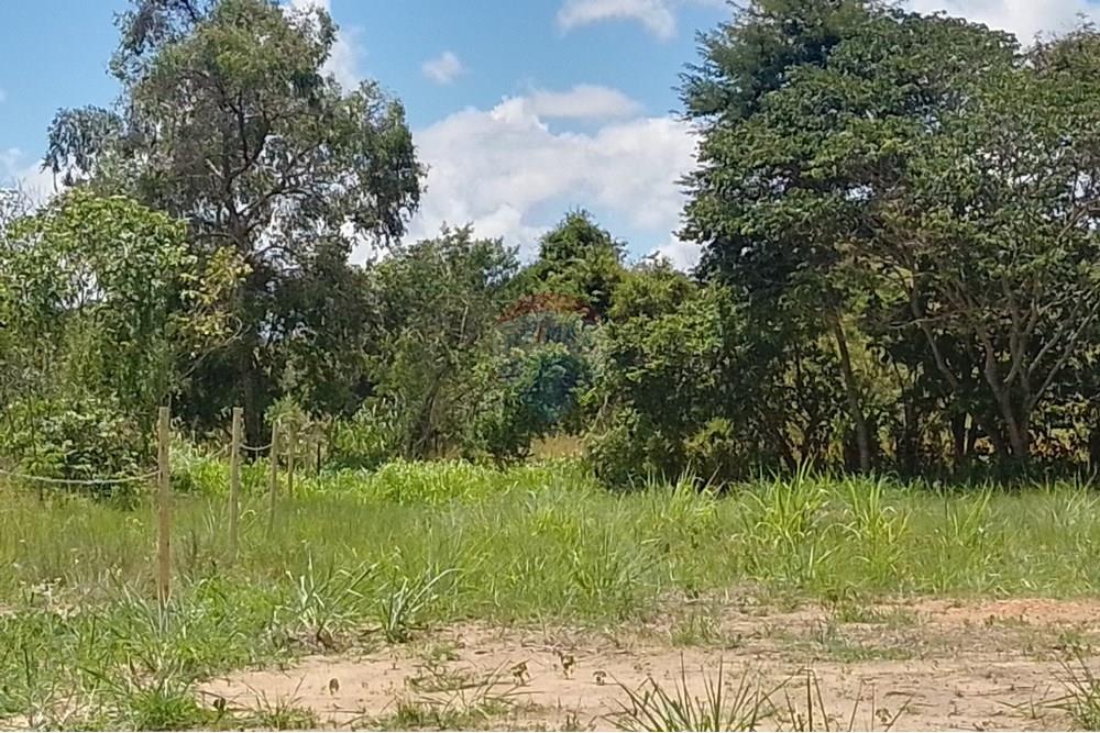 Terreno - Venda - Paraíba do Sul , Rio de Janeiro - IMG_20250225_111349_HDR.jpg - 631411001-104