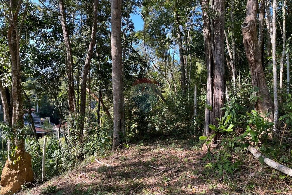 Terreno - Venda - Teresópolis , Rio de Janeiro - WhatsApp Image 2025-09-25 at 16.27.06 (2).jpeg - 630191097-5