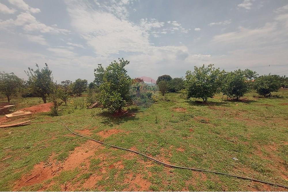 Chácara / Sítio / Fazenda - Venda - Taciba , São Paulo - Chacara Taciba (3).jpg - 630861066-19