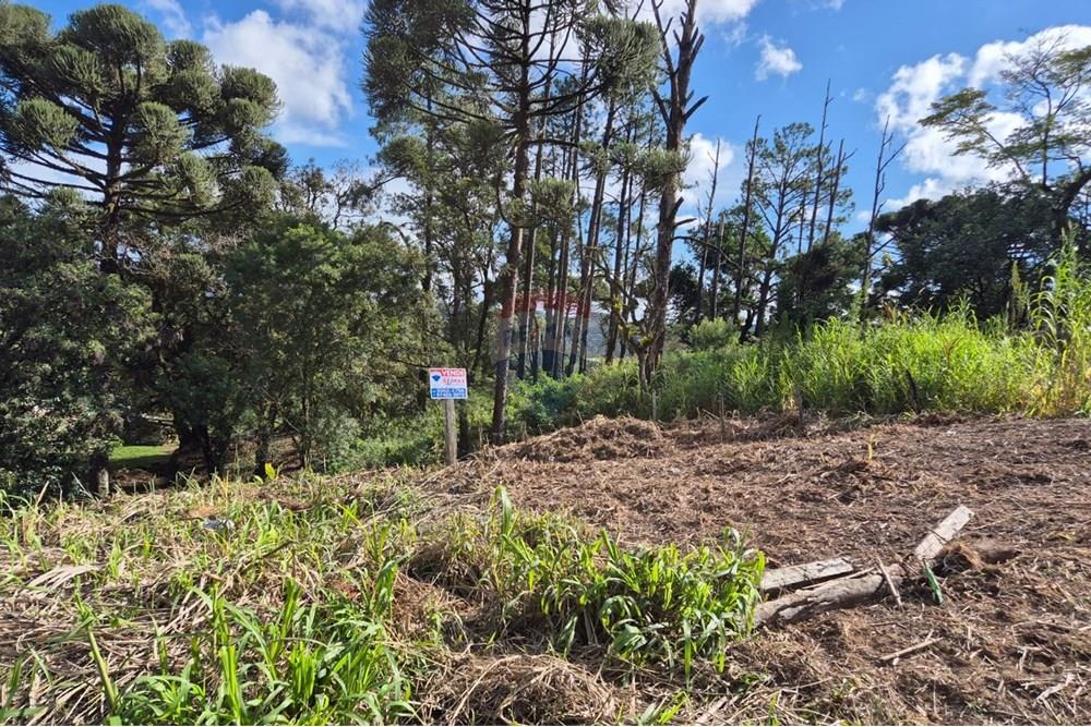 Terreno - Venda - Apiaí , São Paulo - WhatsApp Image 2025-06-05 at 14.41.05 (2).jpeg - 630241006-11